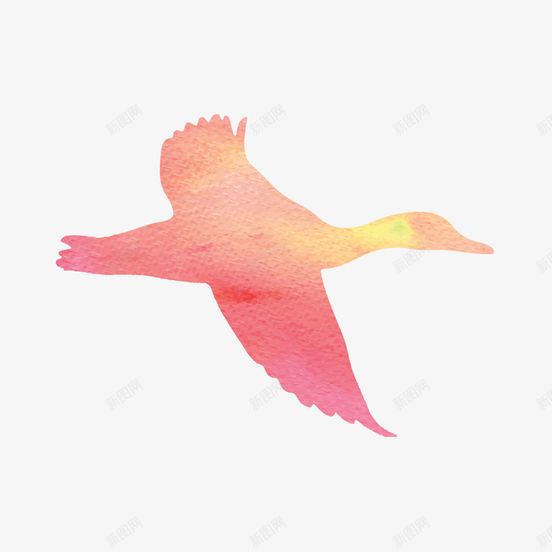 飞鸟矢量图ai免抠素材_88icon https://88icon.com 剪影 动物 大雁 天鹅 水彩 海鸥 蜂鸟 鸟 鸽子 矢量图