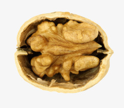 核桃坚果素材