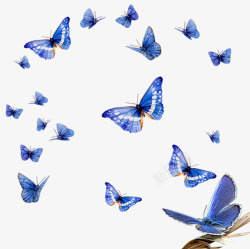 蓝色飞翔海报卡通蝴蝶素材