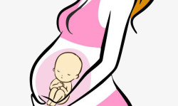 怀着胎儿的孕妈妈卡通画素材
