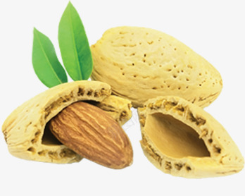 坚果食品淘宝促销png免抠素材_88icon https://88icon.com 促销 坚果 食品