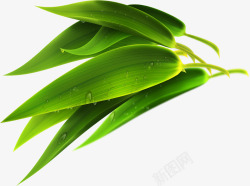 绿色粽子竹叶风景素材