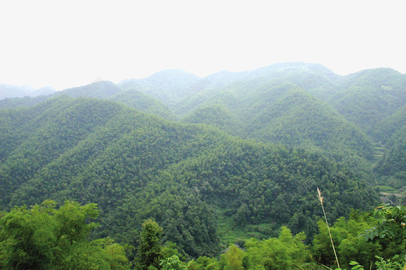 连绵不绝的山峰png免抠素材_88icon https://88icon.com 山峰 山脉 摄影 林业 林地 树木 树林 森林 植物 绿色 美景 自然