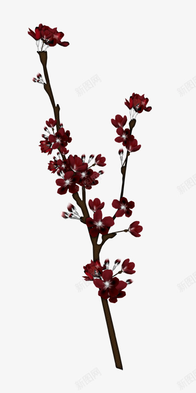 一颗梅花树png免抠素材_88icon https://88icon.com 好看 手绘 红色 鲜花