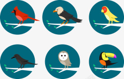6种鸟类卡通图形矢量图素材
