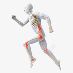 关节痛人体骨骼图示高清图片