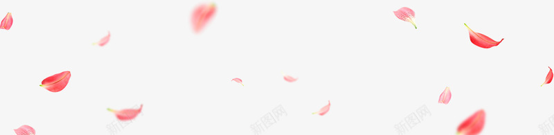漂浮海报植物玫瑰花瓣png免抠素材_88icon https://88icon.com 植物 海报 漂浮 玫瑰 花瓣