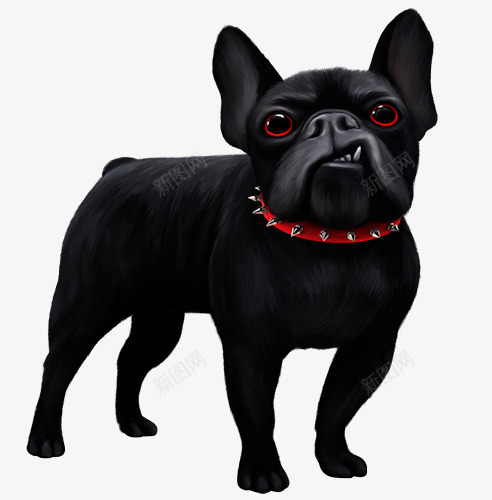 黑色斗牛犬png免抠素材_88icon https://88icon.com 小狗 斗牛犬 黑色小狗