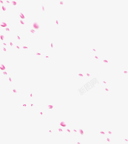 飘散的粉色花瓣素材