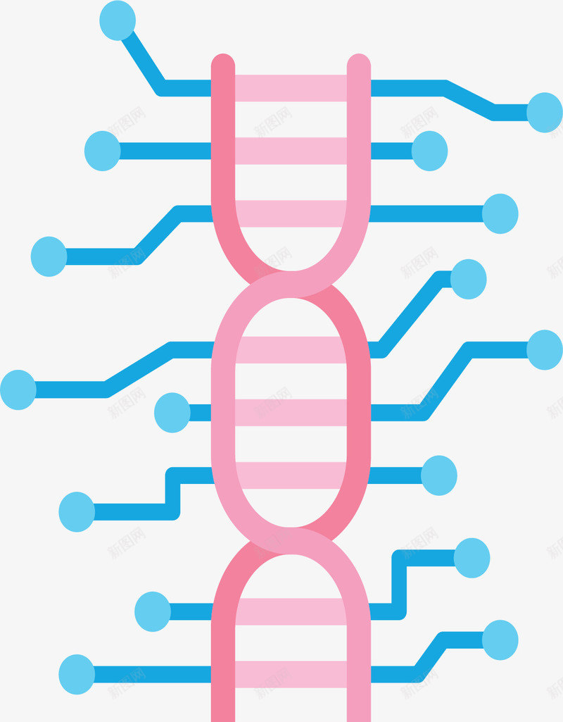 蓝粉色网络生物结构矢量图ai免抠素材_88icon https://88icon.com 互联网 人工智能 生物分子 矢量png 网络结构 高科技 矢量图