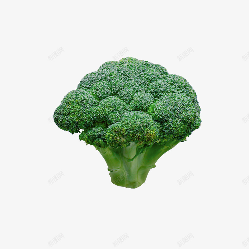 西蓝花png免抠素材_88icon https://88icon.com 健康 时令蔬菜 植物 瓜果蔬菜 绿色食品 营养 蔬菜 西蓝花 青菜