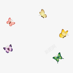 彩色蝴蝶装饰物卡通彩色精美蝴蝶矢量图高清图片