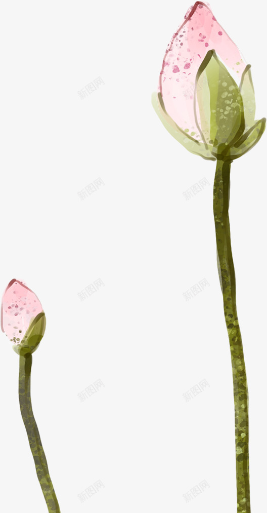 粉色荷花苞手绘简图png免抠素材_88icon https://88icon.com 半开荷花 桔梗 植物 粉色的 美丽的 荷花 荷花苞 装饰