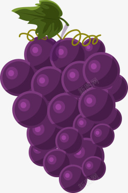 卡通蔬菜水果新鲜葡萄矢量图高清图片