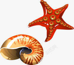 海螺海星矢量图素材