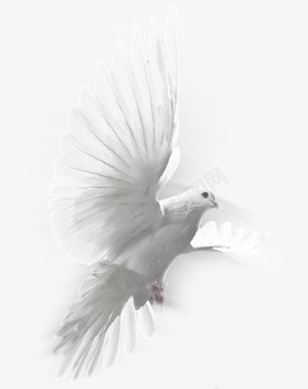 创意摄影在爱琴海飞翔的白鸽png免抠素材_88icon https://88icon.com 创意 摄影 爱琴海 白鸽 飞翔