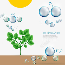 生态环保信息图阳光水分光合作用图高清图片