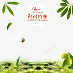 橄榄果装饰素材绿色背景图高清图片