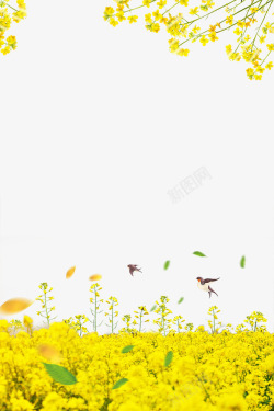 春色春季油菜花装饰边框高清图片