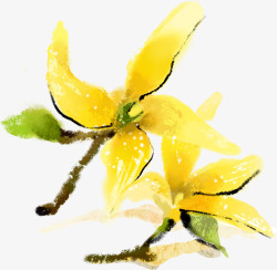 手绘黄色花卉春季展示素材