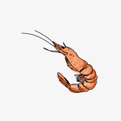 卡通手绘海鲜虾食物素材
