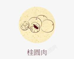桂圆肉素材