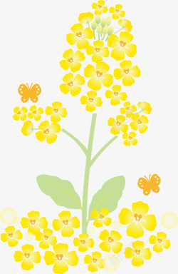 春天黄色花朵装饰素材