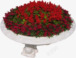 花圃花坛园艺素材