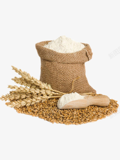 小麦png免抠素材_88icon https://88icon.com 五谷杂粮 美食 面粉