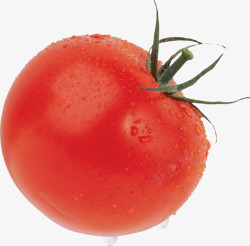 鲜红西红柿番茄圣女果素材