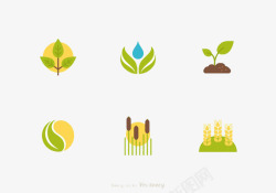 树苗叶子发芽生命素材