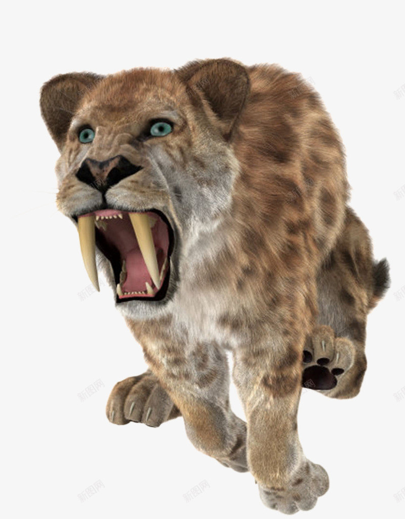 奔跑着的剑齿虎灭绝生物实物png免抠素材_88icon https://88icon.com 动物 斑点 有机体 死亡 殆尽 消失 灭亡 灭绝生物 牙齿 物种 生命体 绝种 集合