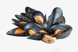 海虹海鲜素材