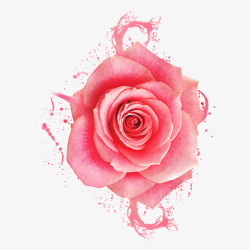泼墨花朵泼墨玫瑰高清图片