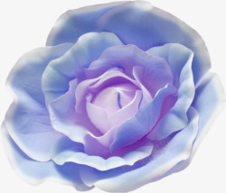 一朵蓝玫瑰素材