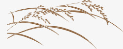 黄色稻子手绘稻米高清图片
