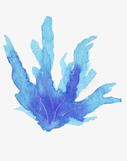 蓝色海草海藻植物素材