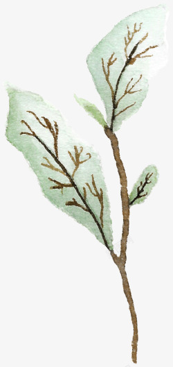 手绘水彩植物绿叶素材