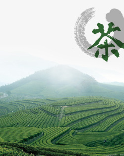 满山茶山高清图片