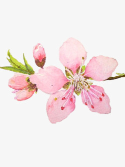 粉色的手绘桃花素材