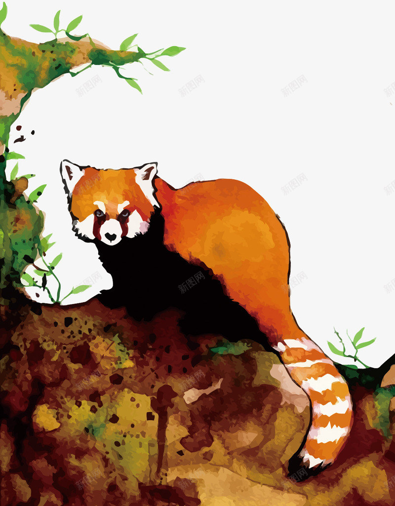 小熊猫矢量图eps免抠素材_88icon https://88icon.com PNG图片 PNG图片素材 PNG素材 PNG素材免费下载 小熊猫 手绘 水彩 矢量图