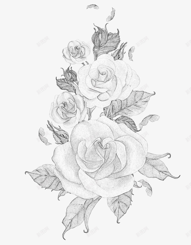 黑白素描花元素背景png免抠素材_88icon https://88icon.com 复古黑白背景图 素描 素描花丛 背景 花 花朵写生 花线描 花线稿 黑白