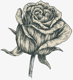 素描手绘单枝玫瑰花素材
