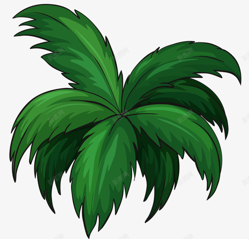 热带阔叶植物png免抠素材_88icon https://88icon.com 植物 热带 绿叶 阔叶