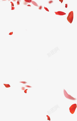 红色花瓣大集合装饰素材