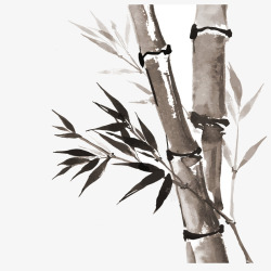黑白竹子中国风国画水墨竹子高清图片