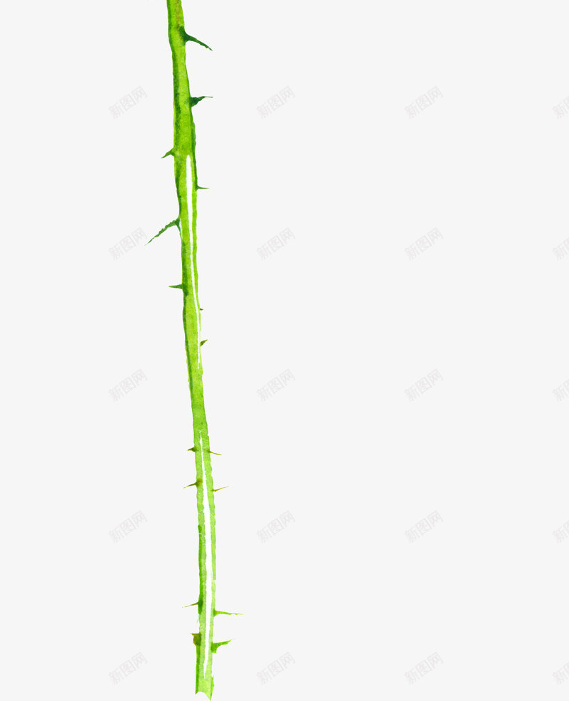 手绘卡通装饰花瓣花草装饰海报设png免抠素材_88icon https://88icon.com 包装设计 小清新包装 手绘卡通装饰花瓣花草装饰海报设计免费下载 花朵 花朵装饰 花瓣 花瓣装饰 花草设计 贺卡设计