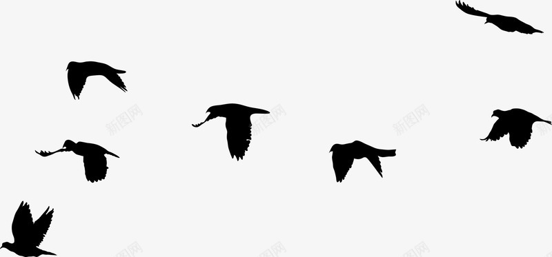 飞翔的白鸽群黑色飞鸟群图标图标