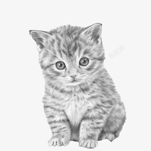 猫咪素描黑白手绘画psd免抠素材_88icon https://88icon.com 填色练习 小猫 小猫幼崽 手绘图片 素描猫 素描画 黑白画面