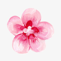 情人节粉色花瓣装饰素材